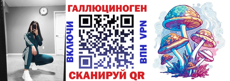 Псилоцибиновые грибы GOLDEN TEACHER  Купить закладки  Краснознаменск 