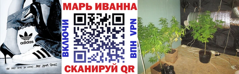 Канабис ГИДРОПОН Краснознаменск